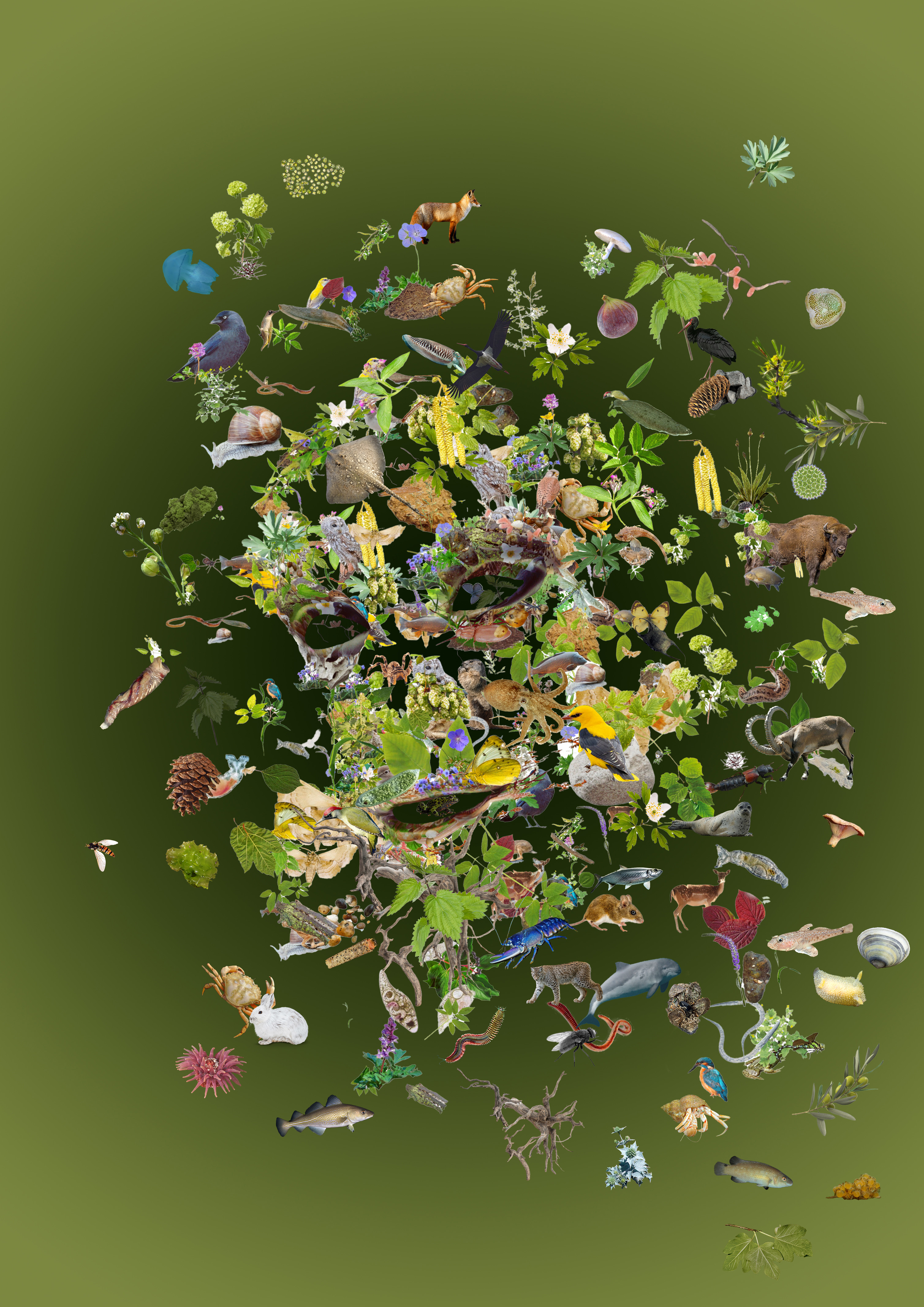 Themis Fundamentalis 